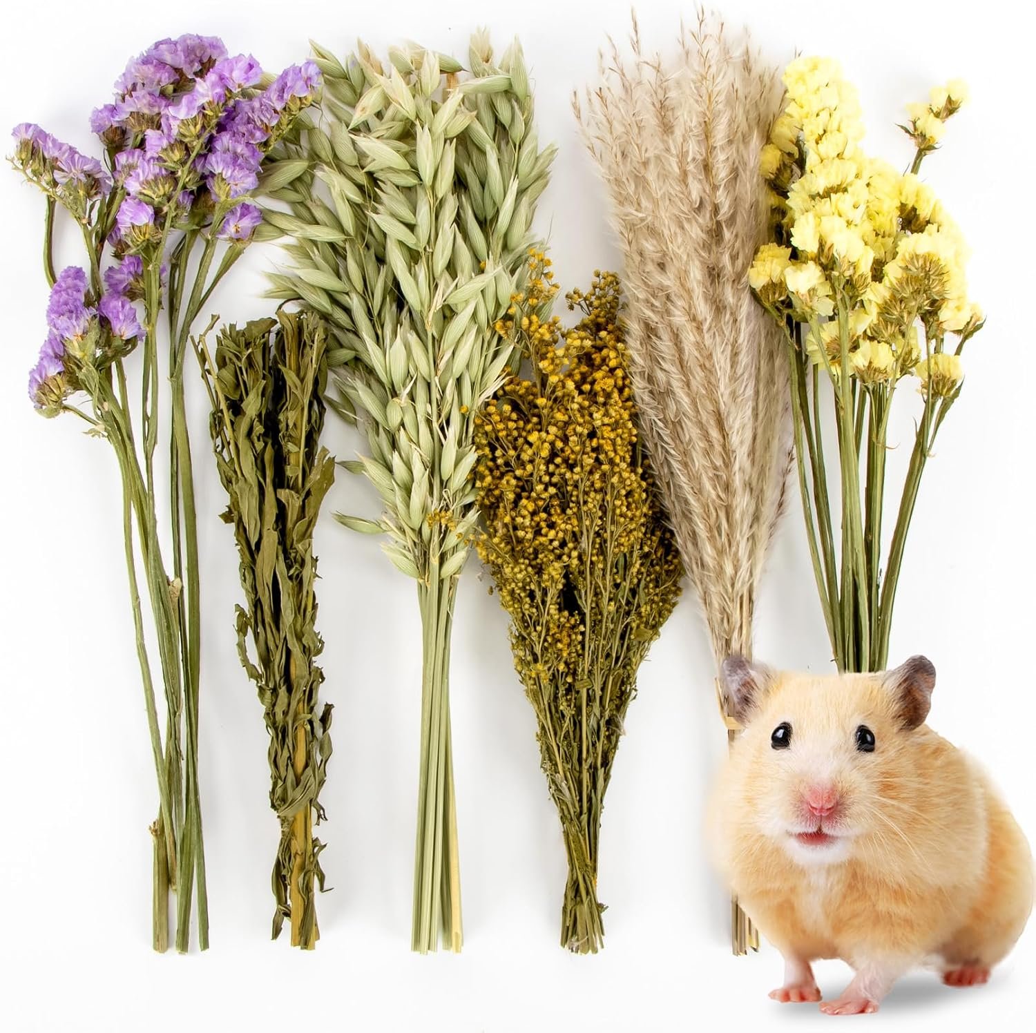 Sukh 42Pcs Hamster Sprays Natural – Sprays & Forage for Small Animals | Chew Herbs for Syrian Dwarf Hamsters & Guinea Pigs, Habitat Dry Flowers Decor, Hideout Enrichment, Cage & Bedding Accessories
