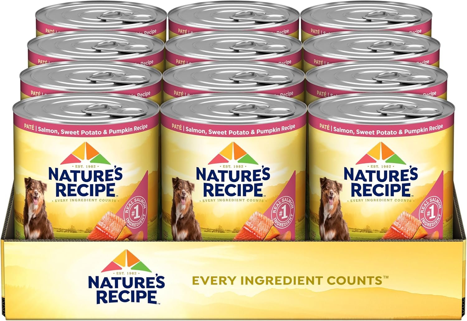 Nature’s Recipe Grain Free Salmon Wet Dog Food, 13 oz. Can (Pack of 12) | Made With Sweet Potato & Pumpkin, Serve As A Complete Meal Or Meal Topper, Made Without Added Corn Or Wheat
