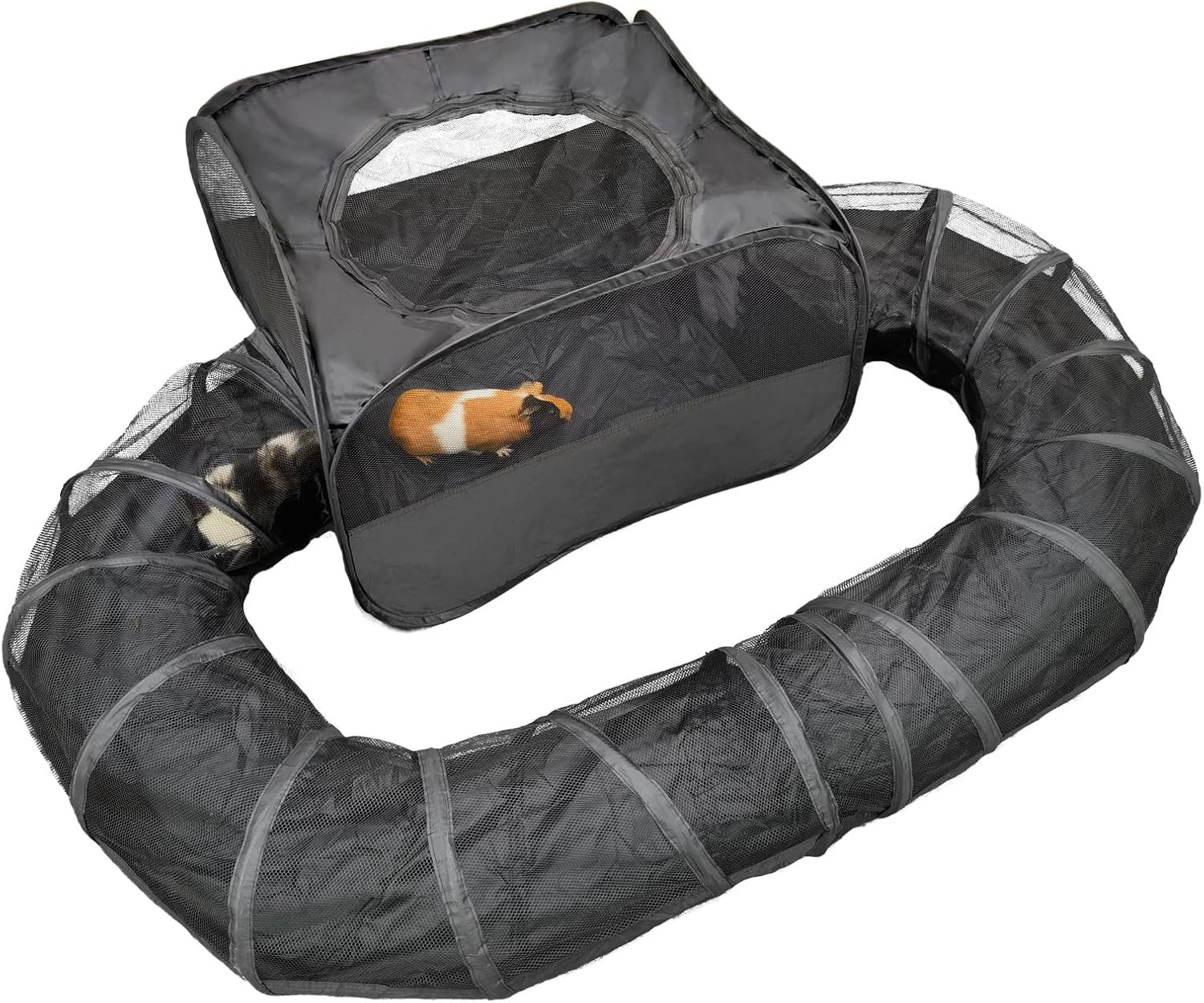 Guinea Pigs Playpen with Surround Tunnel to Run & Exercise Indoor/Outdoor | Pop Open Tent with Tube,Small Animals Interactive Play Pen,Detachable for Independent Use,Lightweight & Portable For Travel