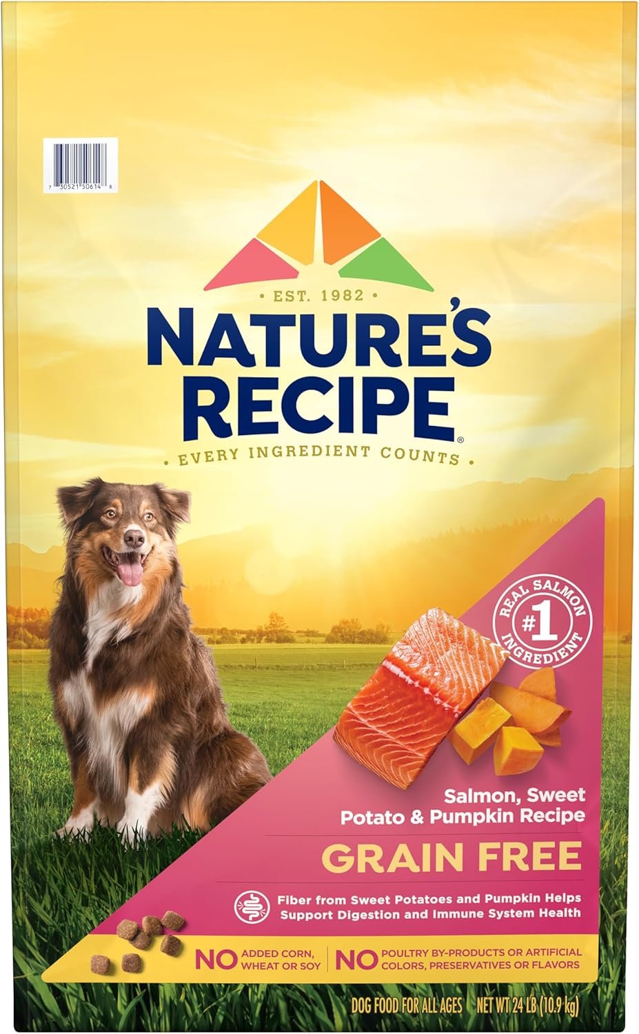 Nature’s Recipe Grain Free Salmon Dry Dog Food, 24 lb. Bag | Fiber From Sweet Potatoes & Pumpkin Helps Support Digestion and Immune System Health