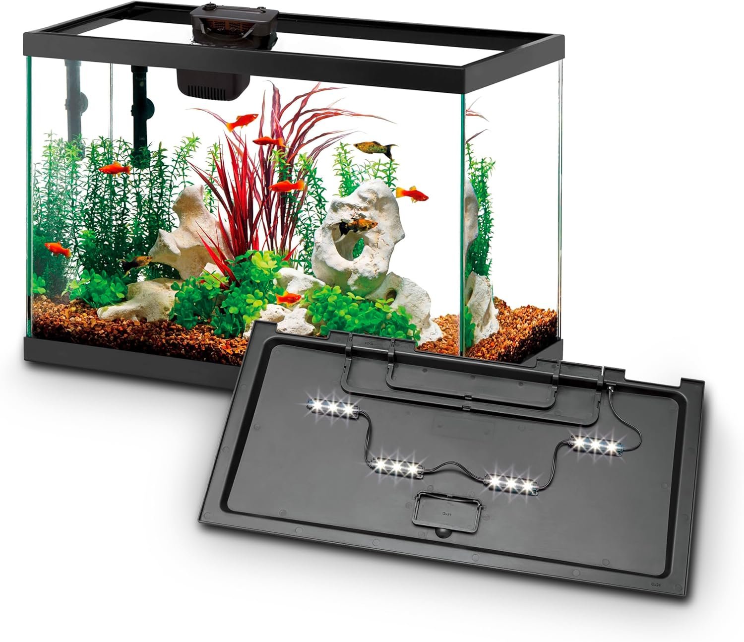 Aqueon Aquarium Starter Kit with Smart Clean Filtration and LED Lighting, Freshwater and Saltwater Fish, 20-Gallon