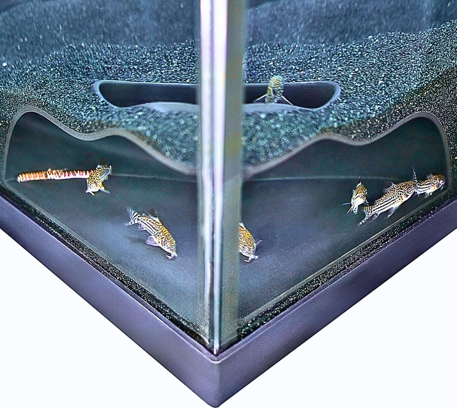 Lucky Critter Aquarium Underground Corner Cave Natural Curve | Viewing Fish & Shrimp Under Gravel Tunnel | Fish Tank Decor Decoration Hideout Perfect for Corydora Catfish, Kuhli Loach, Pleco