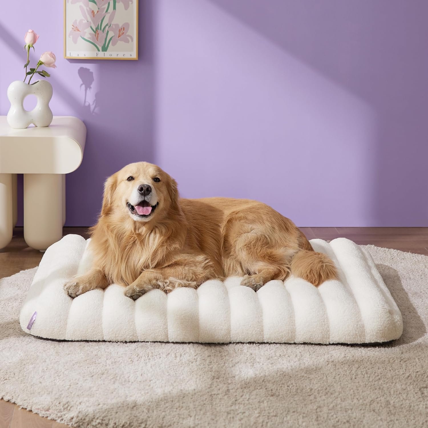 LE SURE Cute Orthopedic Dog Bed for Extra Large Dogs, XL Waterproof Chic Flat Pet Beds with Removable Washable Cover, Fuzzy Thick Egg Crate Foam Pet Mat for Indoor Use (44″ x 32″, Cream)