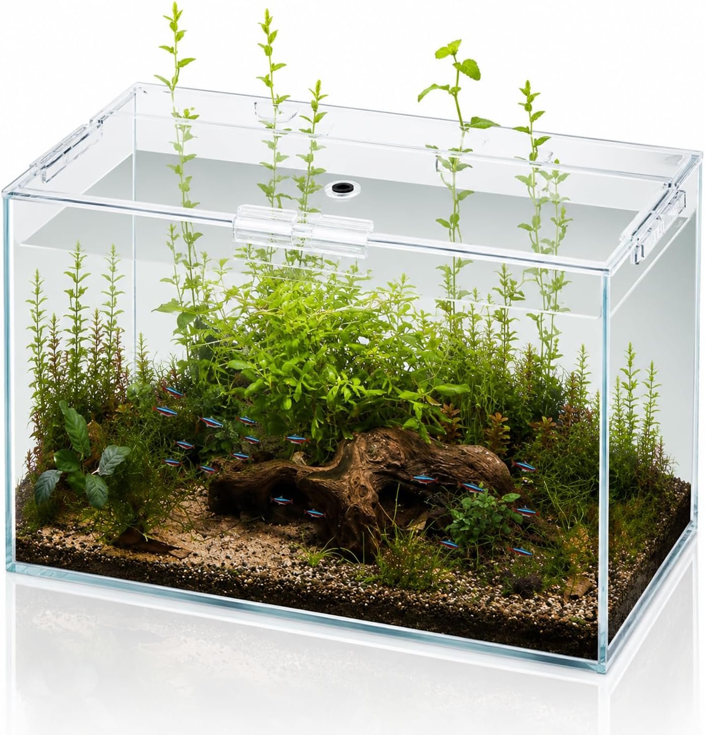 10 Gallon Glass Fish Tank Open-Back Lid, Aquarium Fish Bowl Cube for Betta Goldfish Snails Shrimp Aquatic Planting, Ultra Clear Rimless Low Iron