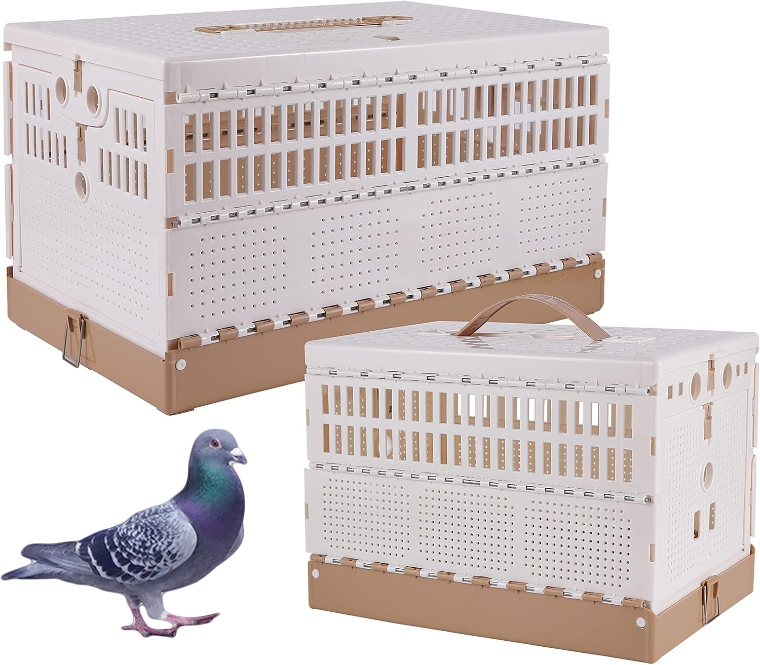 Plastic Foldable Pigeon Cage with Handle, S, Two Doors | Portable Bird Travel Carrier Cage, Pigeon Cage Pairing Cage, Pigeon Nest Box Easy to Clean for Training Release Competition
