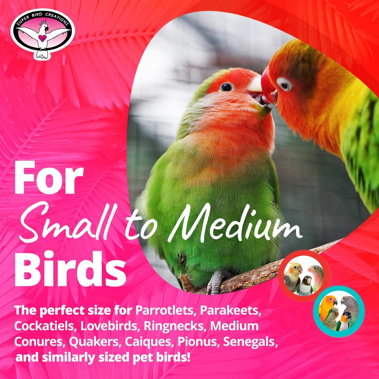 Super Bird Creations SB186 Vine Ball Candy Cane Bird Toy, Small/Medium Bird Size, 9″ x 4″