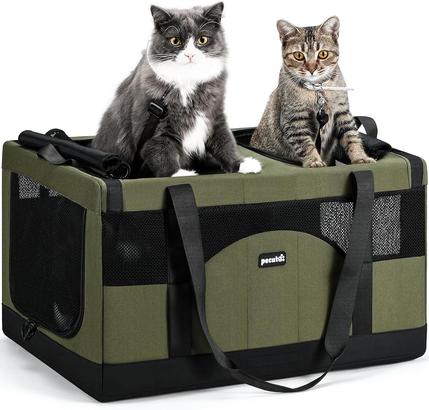 Pecute Large Cat Carrier, Soft Double Pet Crate for 2 Cats Travel, Green