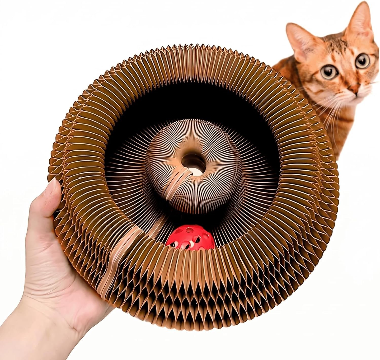 KITTY KURLZ Interactive Cat Toy & Cardboard Cat Scratcher | Collapsible Ball Track with Bell, For Indoor Cats, Reversible Scratch Ring, Play, Chase and Lounge