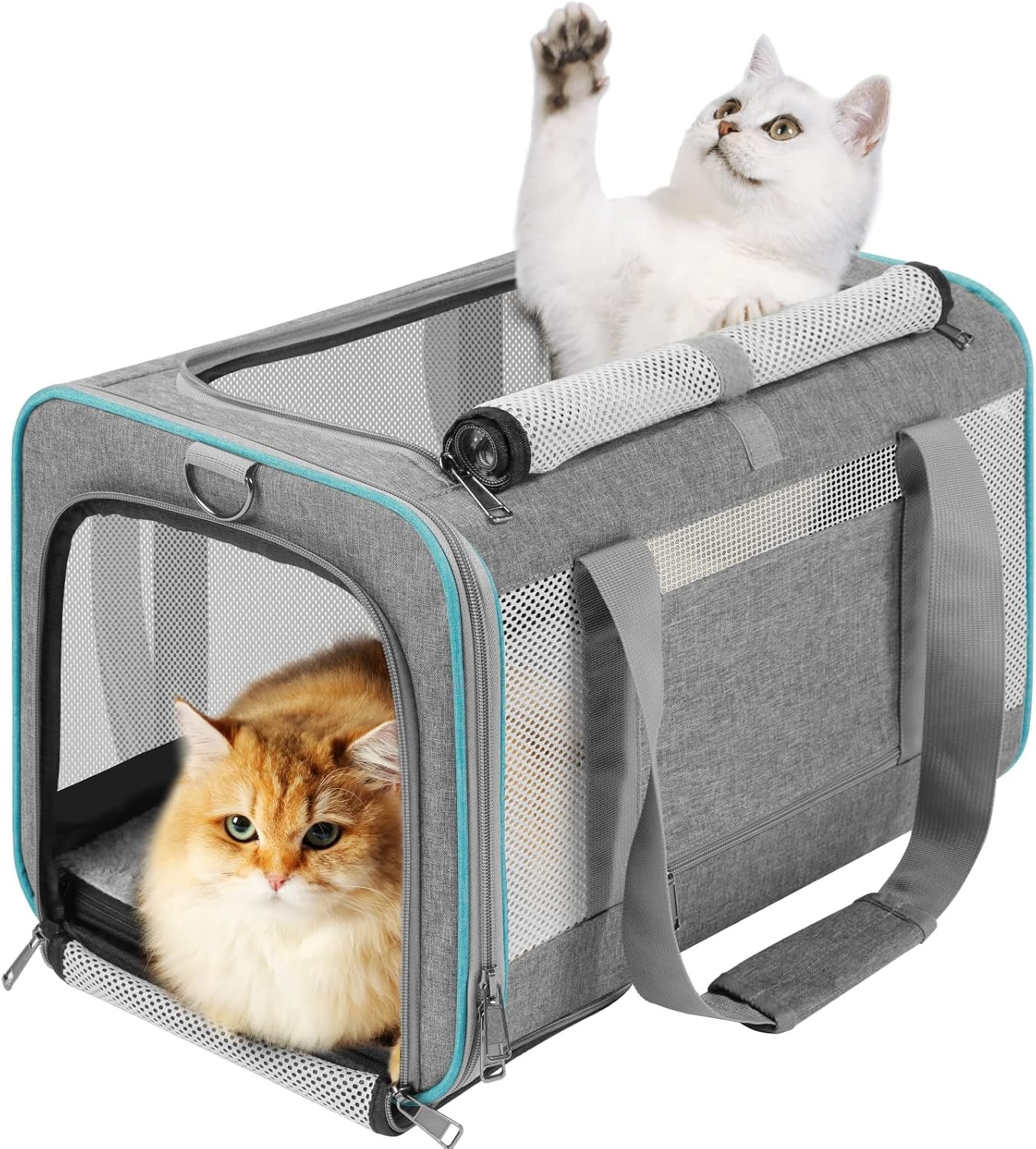 GAPZER Large Cat Carrier Soft, Collapsible Travel Pet Carry Bag, Small Dogs | Large Cats up to 20 lbs+ Maine Coon, Top Load Transport Small Puppy Dog Crate, Chihuahua Mini Dog 10lbs, Sturdy Mesh Grey