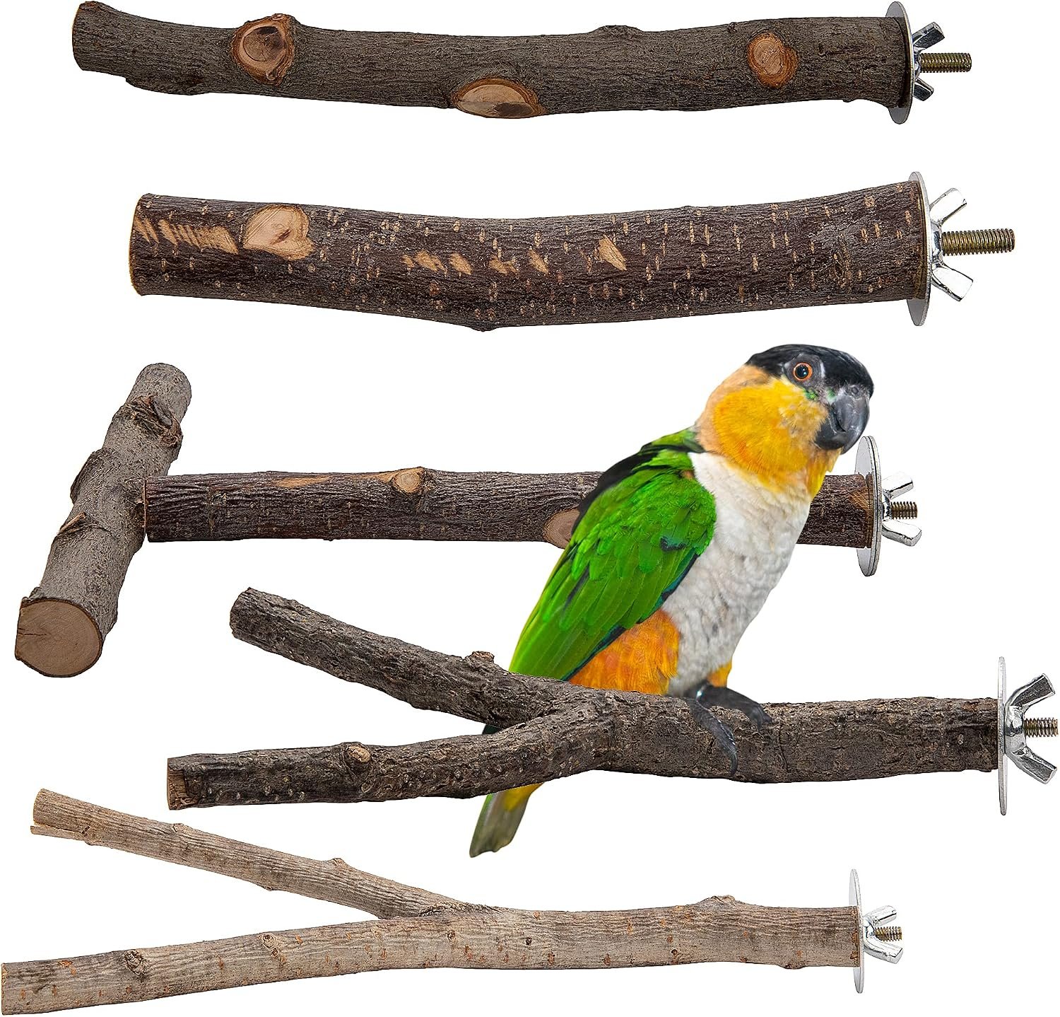 EBaokuup 5PCS Natural Wood Bird Perches for Parrot – Wooden Bird Parrot Stand Branches Parakeet Cage Perch Accessories for Small Birds Budgies Cockatiels Conure Lovebirds