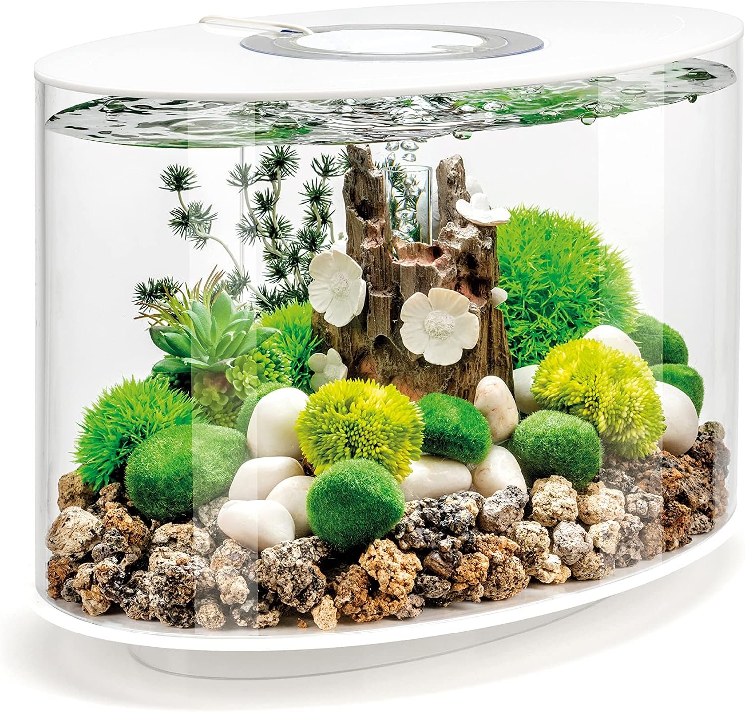 biOrb Loop 15 Acrylic 4-Gallon Aquarium with White LED Lights Modern Compact Tank for Tabletop or Desktop Display, White-Trimmed Tank