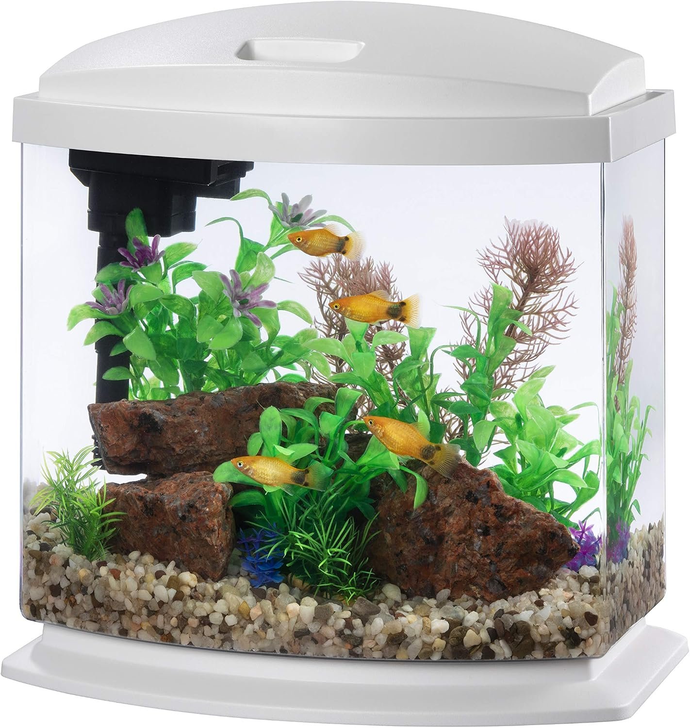 Aqueon LED MiniBow Small Aquarium Fish Tank Kit with SmartClean Technology, White, 2.5 Gallon