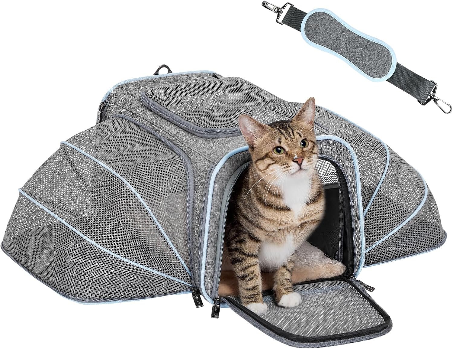 Petsfit Small Double Expandable Cat Carrier for Kittens and Air Travel | 16 x 10 x 9 in; sized for Alaska Airlines, with locking zippers, an interior safety tether and multi-side ventilation.