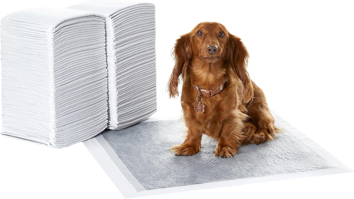 Amazon Basics Carbon Odor Control Dog and Puppy Pee Pads, 5-Layer Leak-Proof Super Absorbent, Quick-Dry Surface for Potty Training, Regular Size 22″x22″, Gray, 120 Count