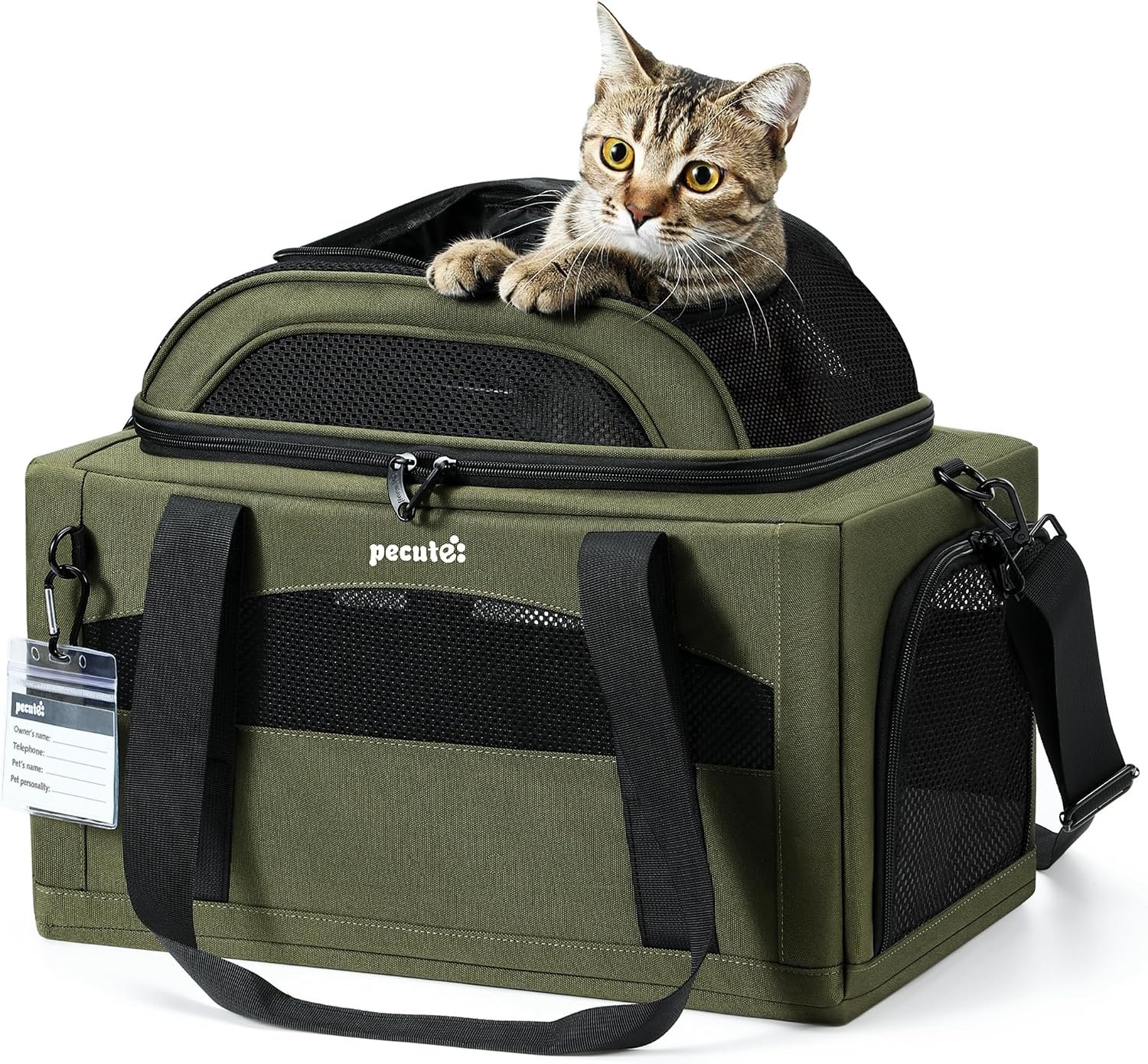 Pecute Expandable Airline Approved Pet Carrier for Cats & Dogs, Olive Green | Airline Approved Dog Carrier, Under-seat, Anti-scratch Mesh, Safety Leash, Locking Zippers, Leakproof Pee Pad