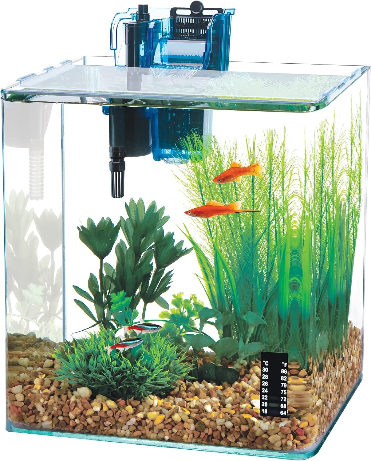 Penn-Plax Water-World Vertex Desktop Aquarium Kit – Perfect for Shrimp & Small Fish – 10 Gallon Tank