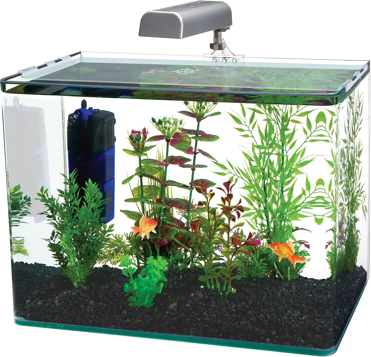 PENN-PLAX Water-World Radius Desktop Nano Aquarium Kit – Includes LED Light, Internal Filter, and Mat – Perfect for Shrimp and Small Fish – 10 Gallon Tank