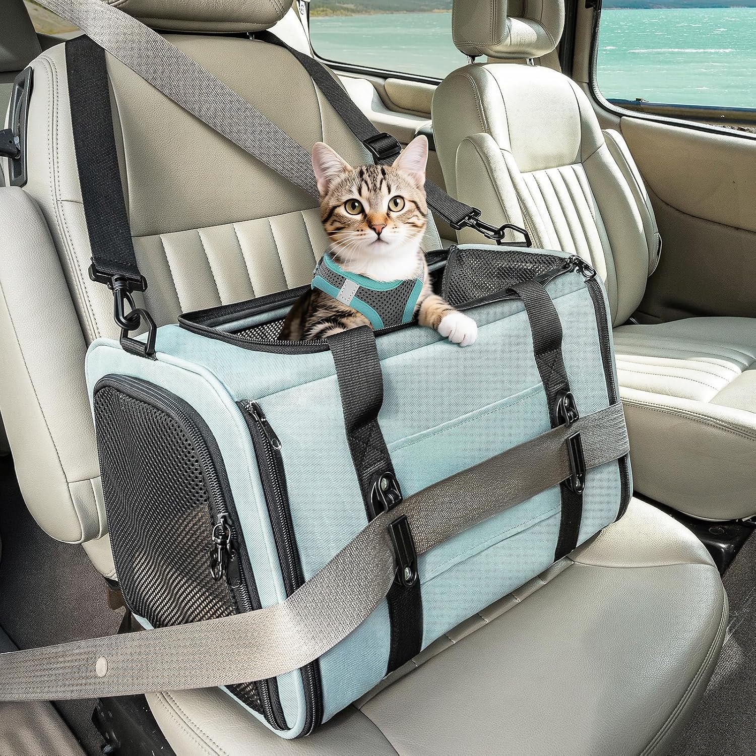PETSFIT Cat Carrier Soft with Patented Safety Buckles, Safe for Car Travel
