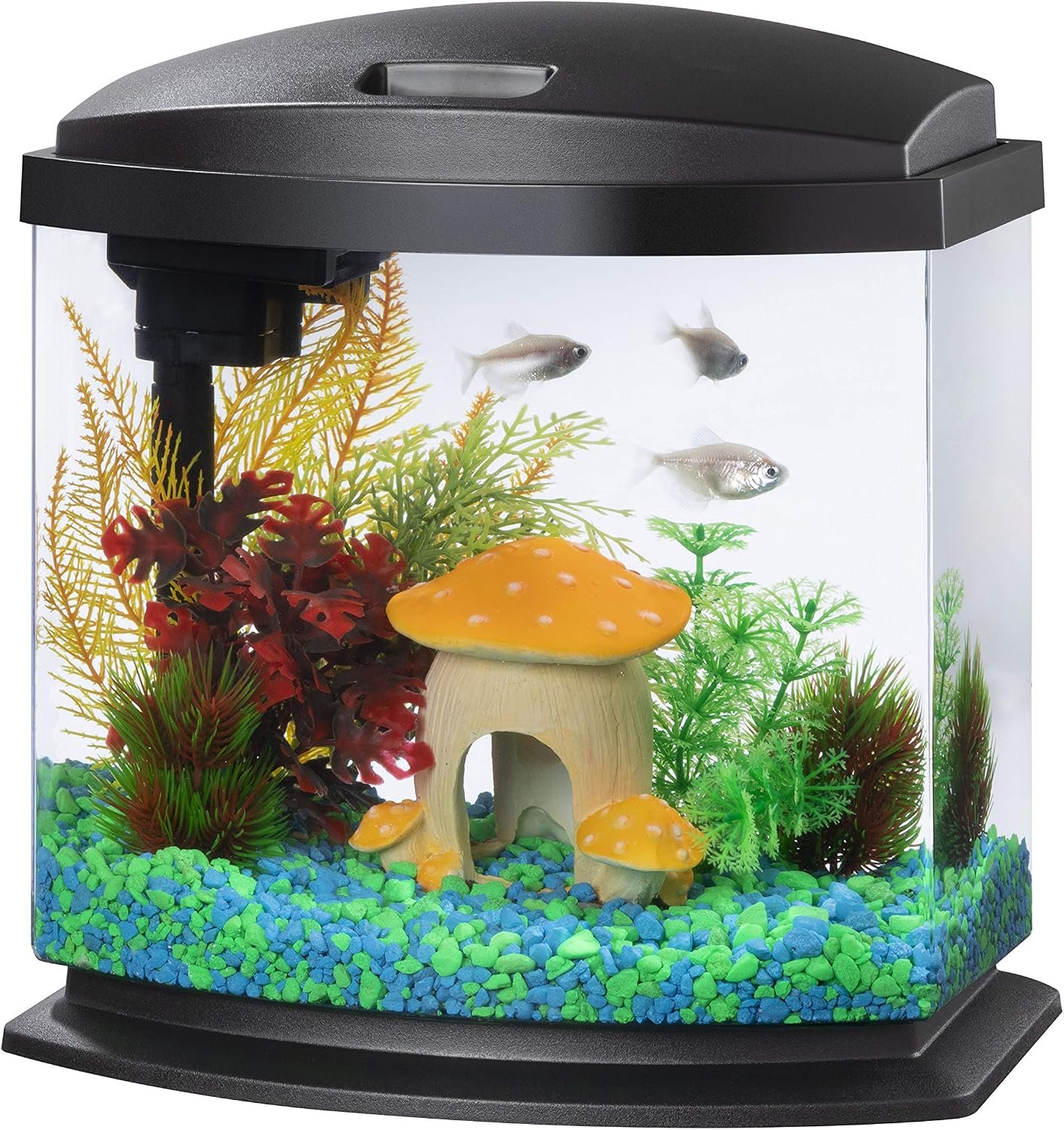 Aqueon LED MiniBow Small Aquarium Fish Tank Kit with SmartClean Technology, Small Fish Tank, Black, 2.5 Gallon