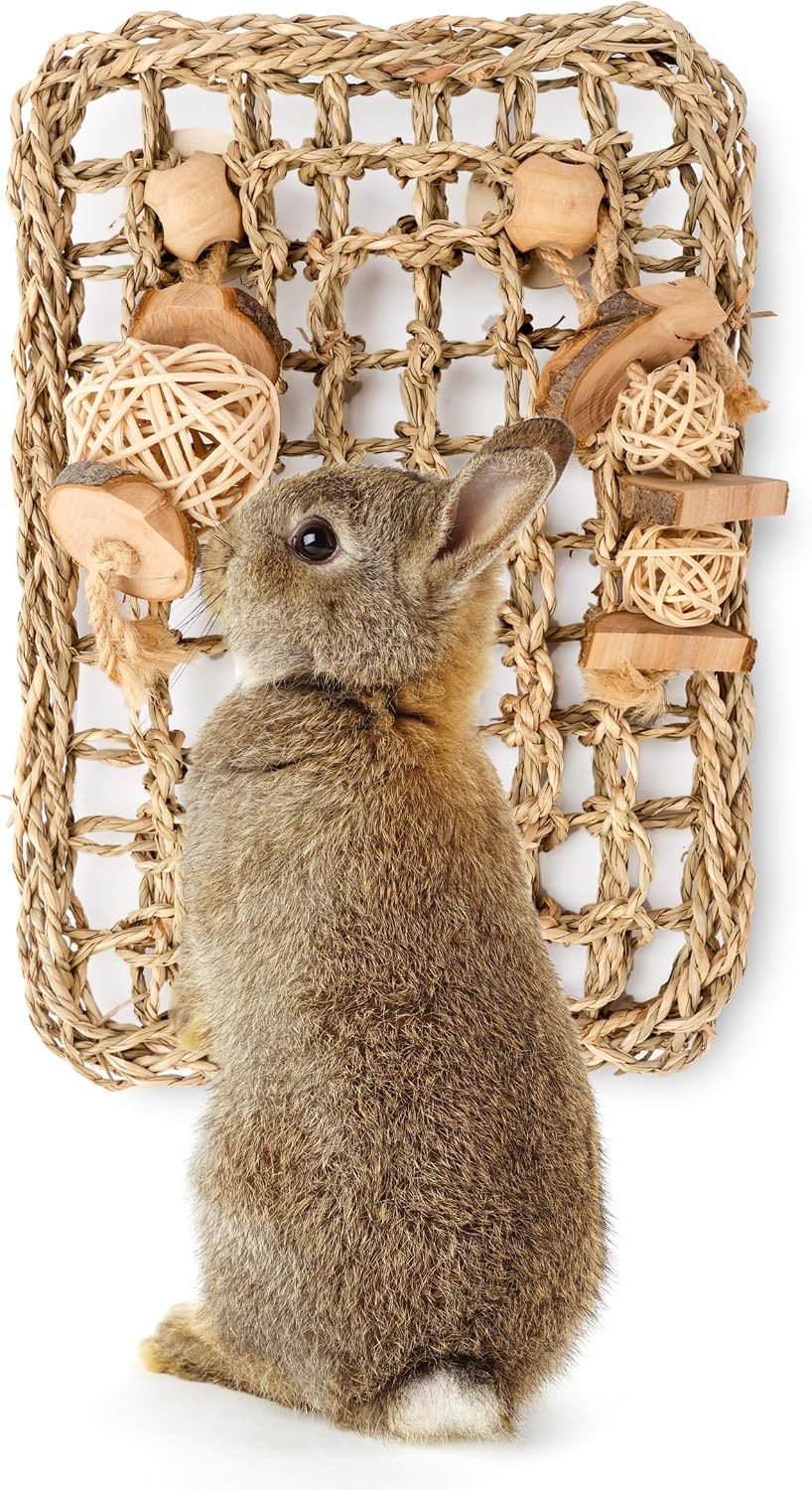 andwe Rabbit Seagrass Protector Mat with Toys (11 X 7.87-inch) | DIY Mat For Rabbit Bunny Chinchilla Guinea Pigs or other Rodent Pets