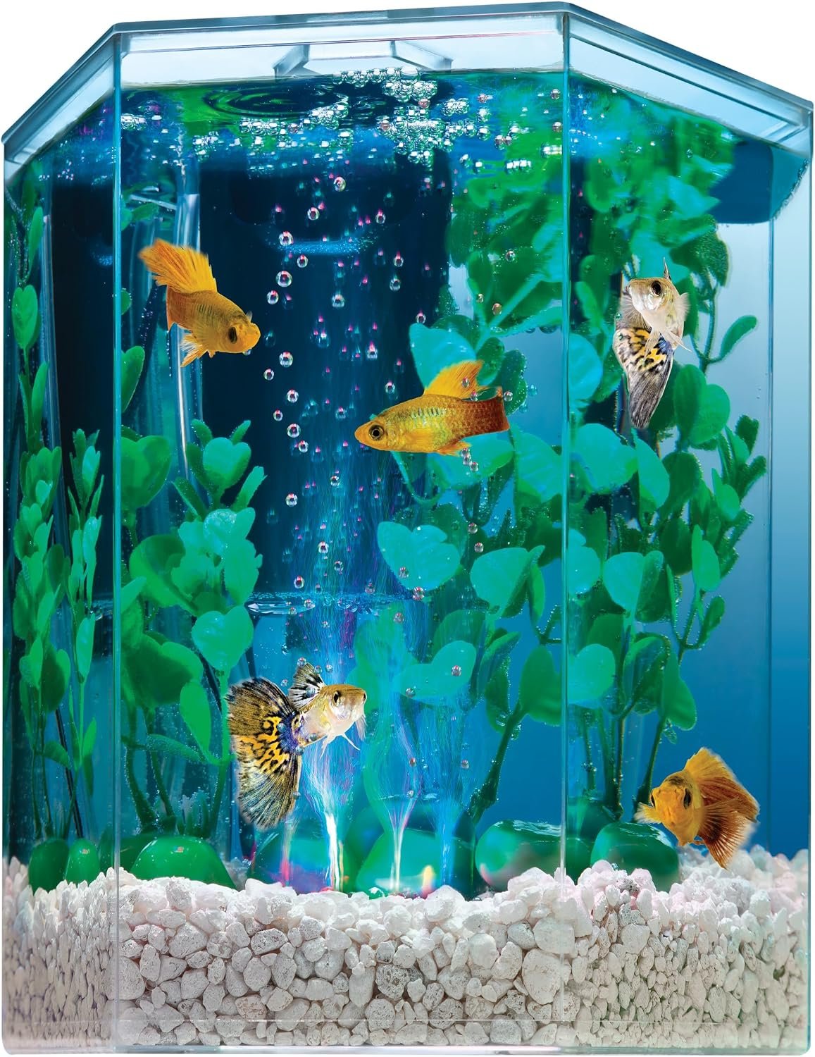 Tetra Bubbling LED 1 Gallon Starter Fish Tank Kit For Freshwater Fish